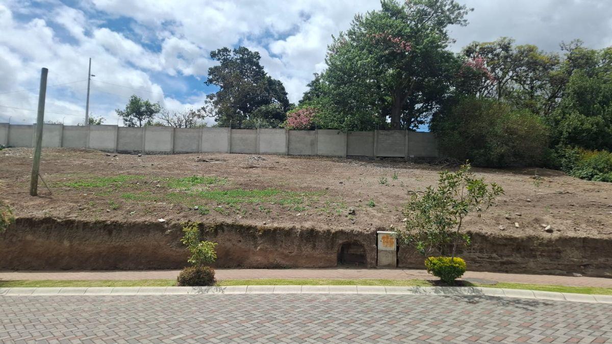 Vendo Terreno de 600 m² Puembo, Excelente Ubicacion. Provincia de Pichincha — imagen 10