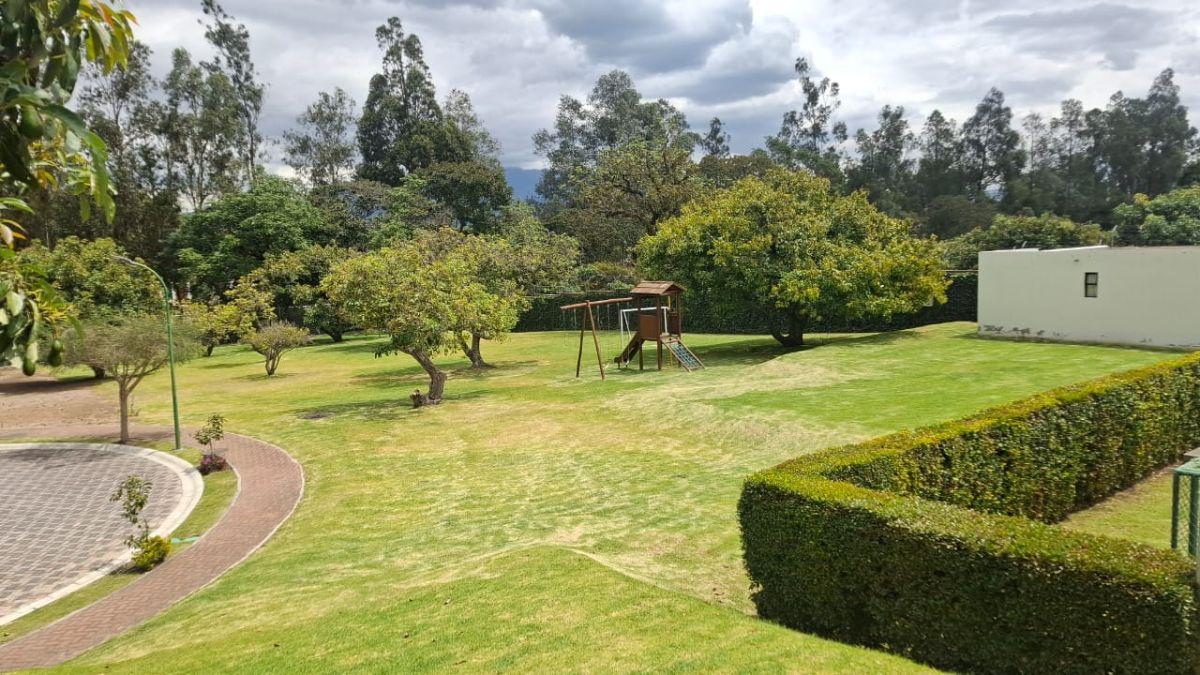 Vendo Terreno de 600 m² Puembo, Excelente Ubicacion. Provincia de Pichincha — imagen 7
