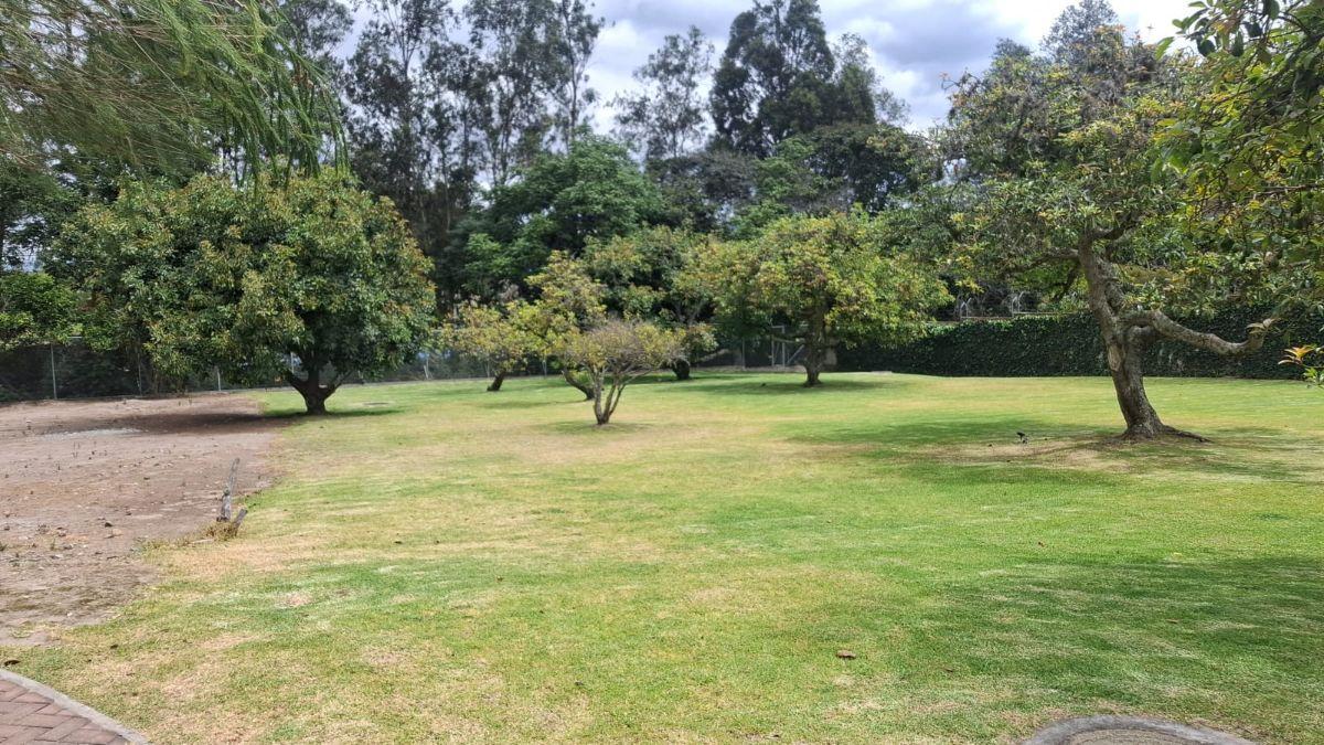 Vendo Terreno de 600 m² Puembo, Excelente Ubicacion. Provincia de Pichincha — imagen 6
