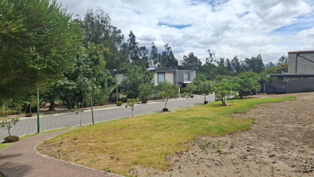 Vendo Terreno de 600 m² Puembo, Excelente Ubicacion. Provincia de Pichincha — imagen 5