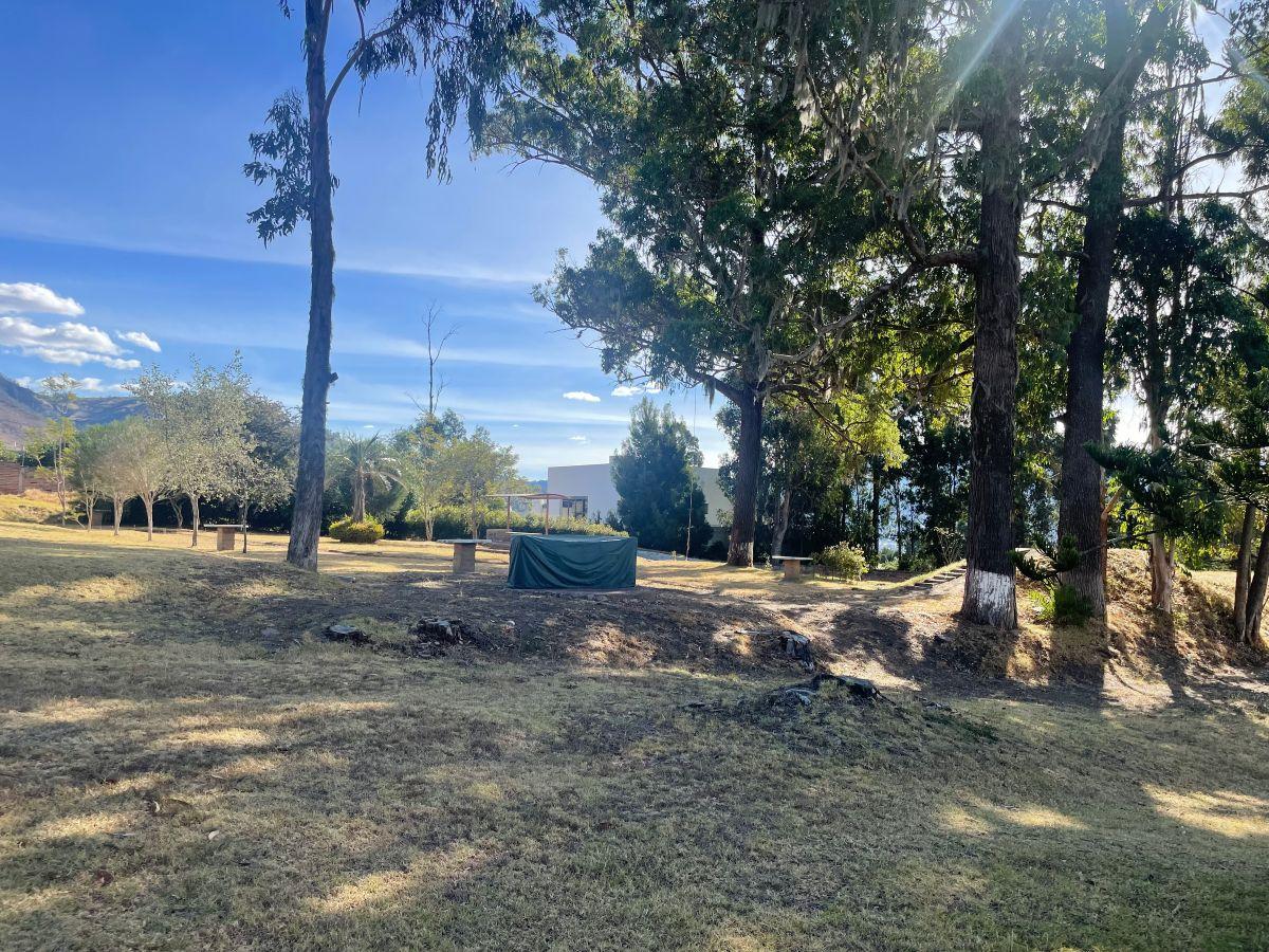 Terreno de 3866 m² en Venta en Tumbaco — imagen 7
