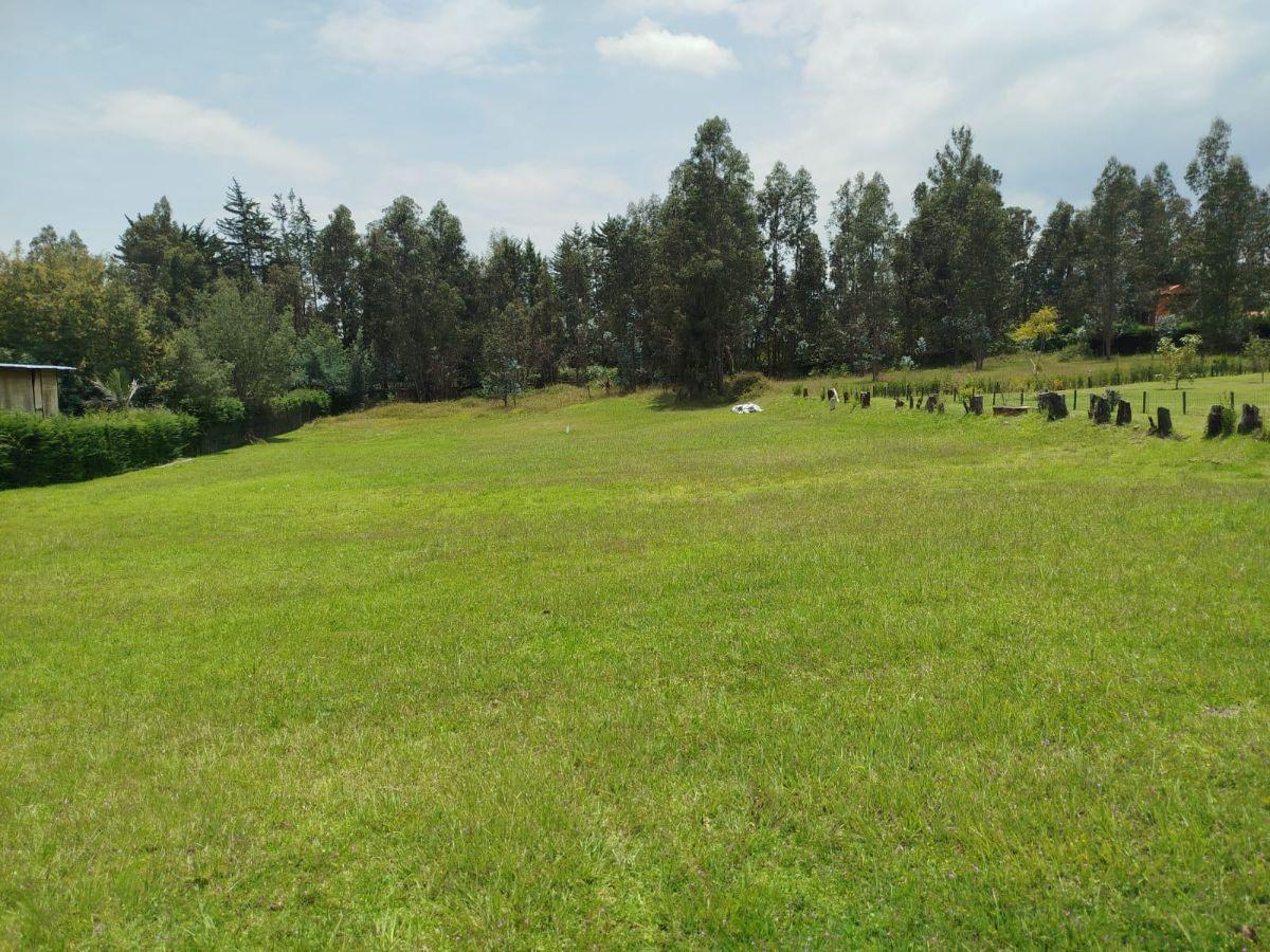 Terreno de 3866 m² en Venta en Tumbaco — imagen 6