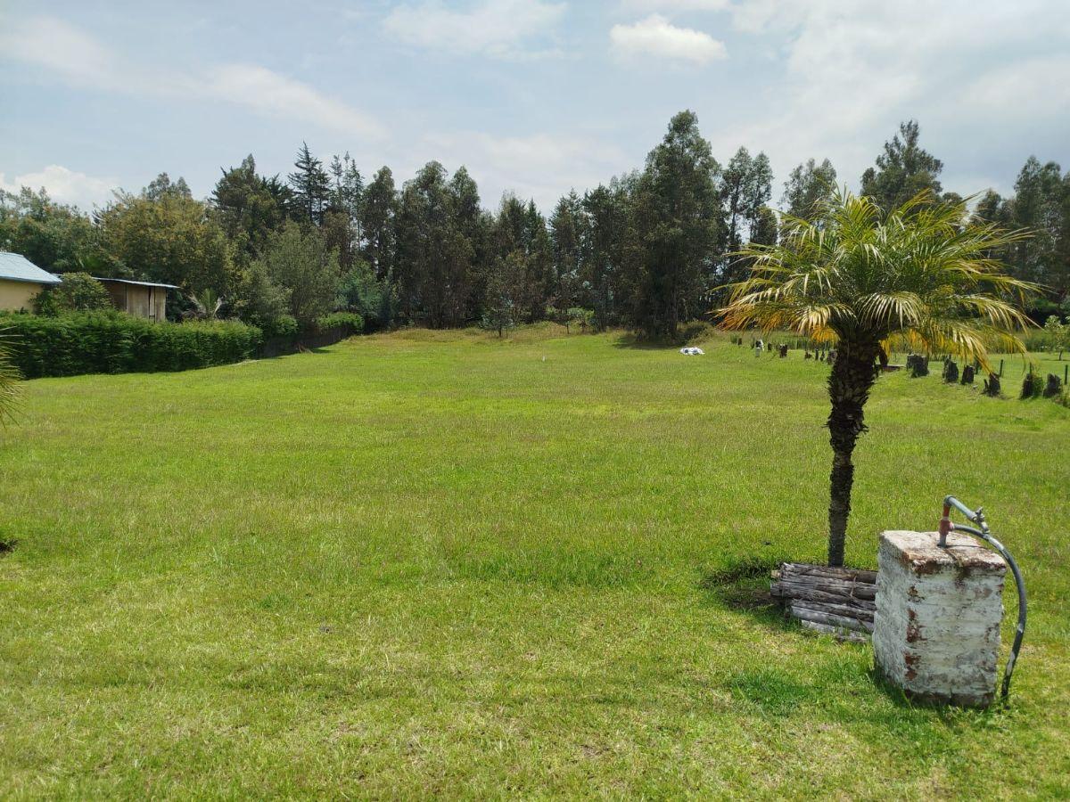 Terreno de 3866 m² en Venta en Tumbaco — imagen 5