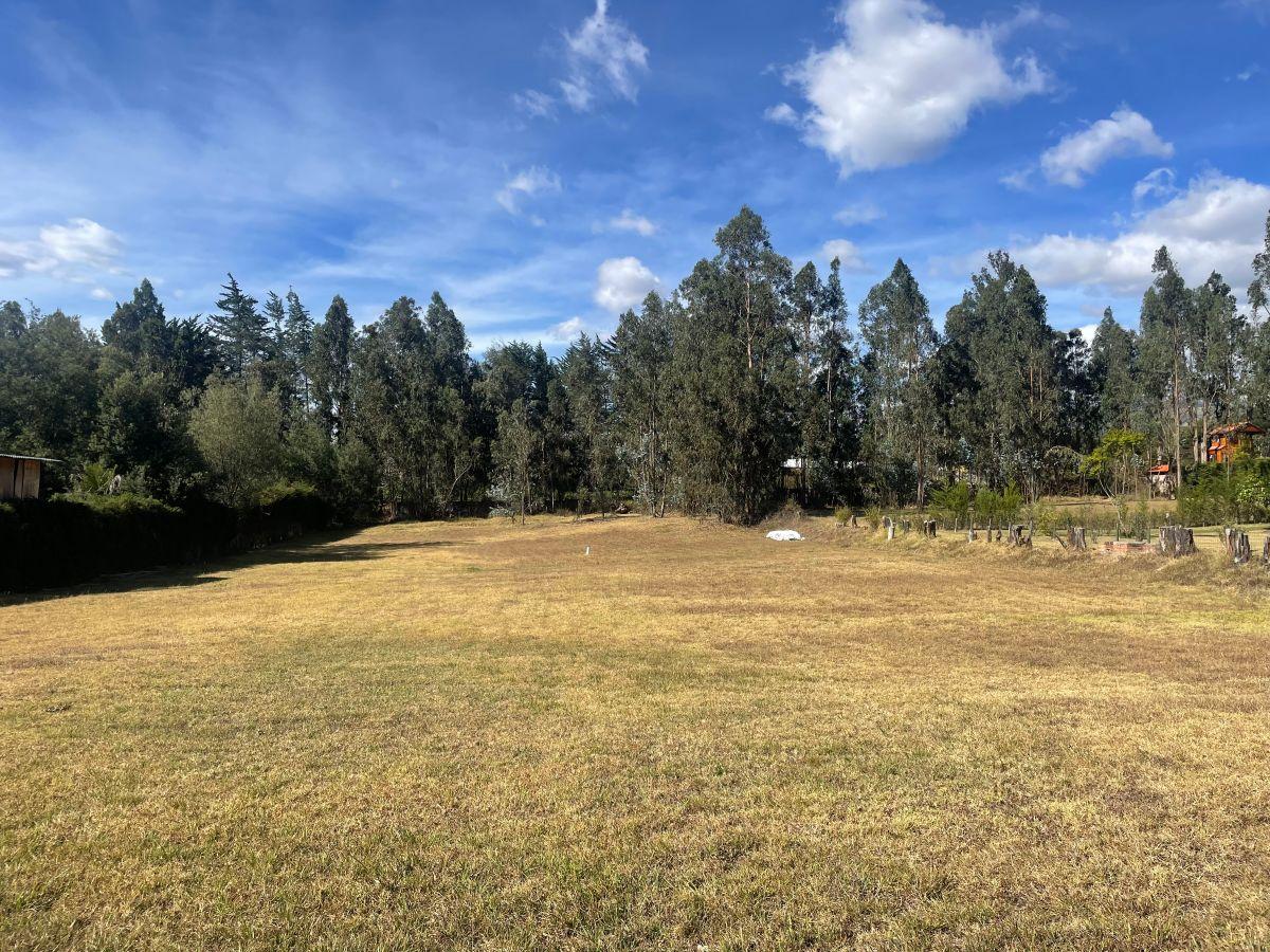Terreno de 3866 m² en Venta en Tumbaco — imagen 4