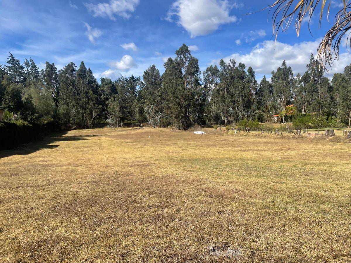 Terreno de 3866 m² en Venta en Tumbaco — imagen 3