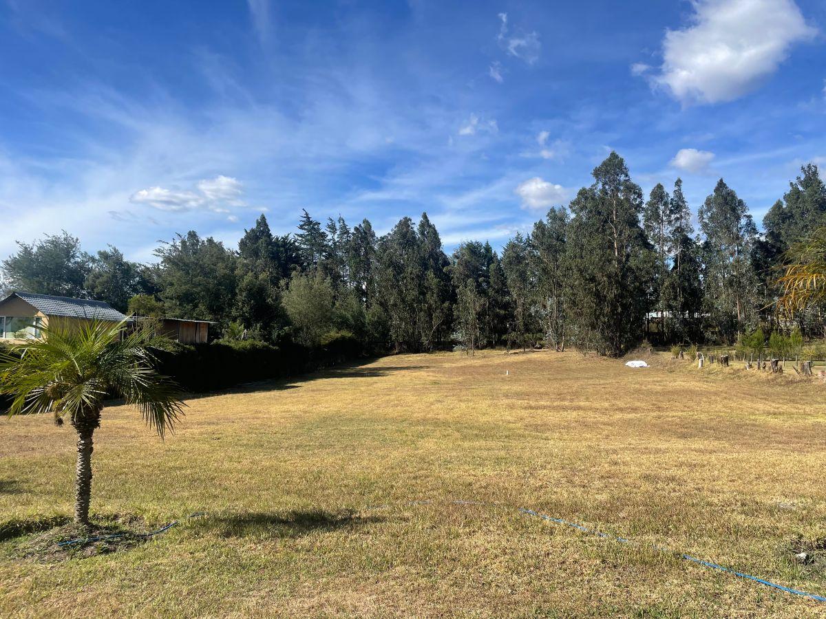 Terreno de 3866 m² en Venta en Tumbaco — imagen 2