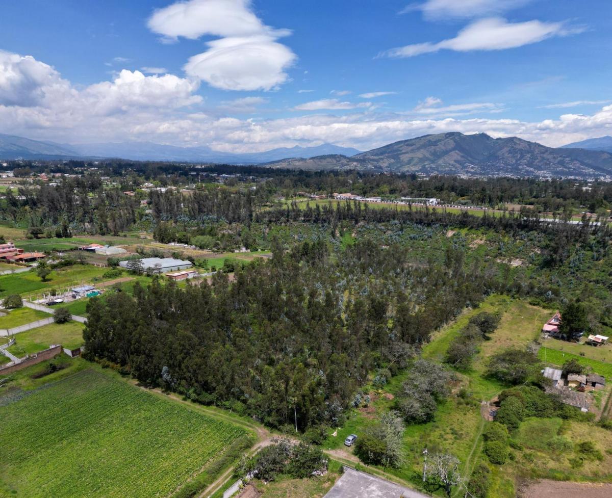 Oportunidad: Terreno de 20.000 Cerca del Parque de Tababela – Ideal Para Desarrollo o Vivienda — imagen 5