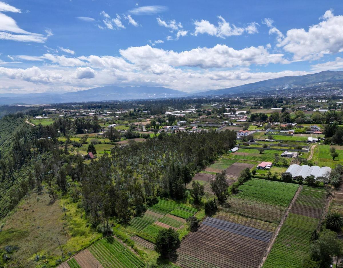 Oportunidad: Terreno de 20.000 Cerca del Parque de Tababela – Ideal Para Desarrollo o Vivienda — imagen 4