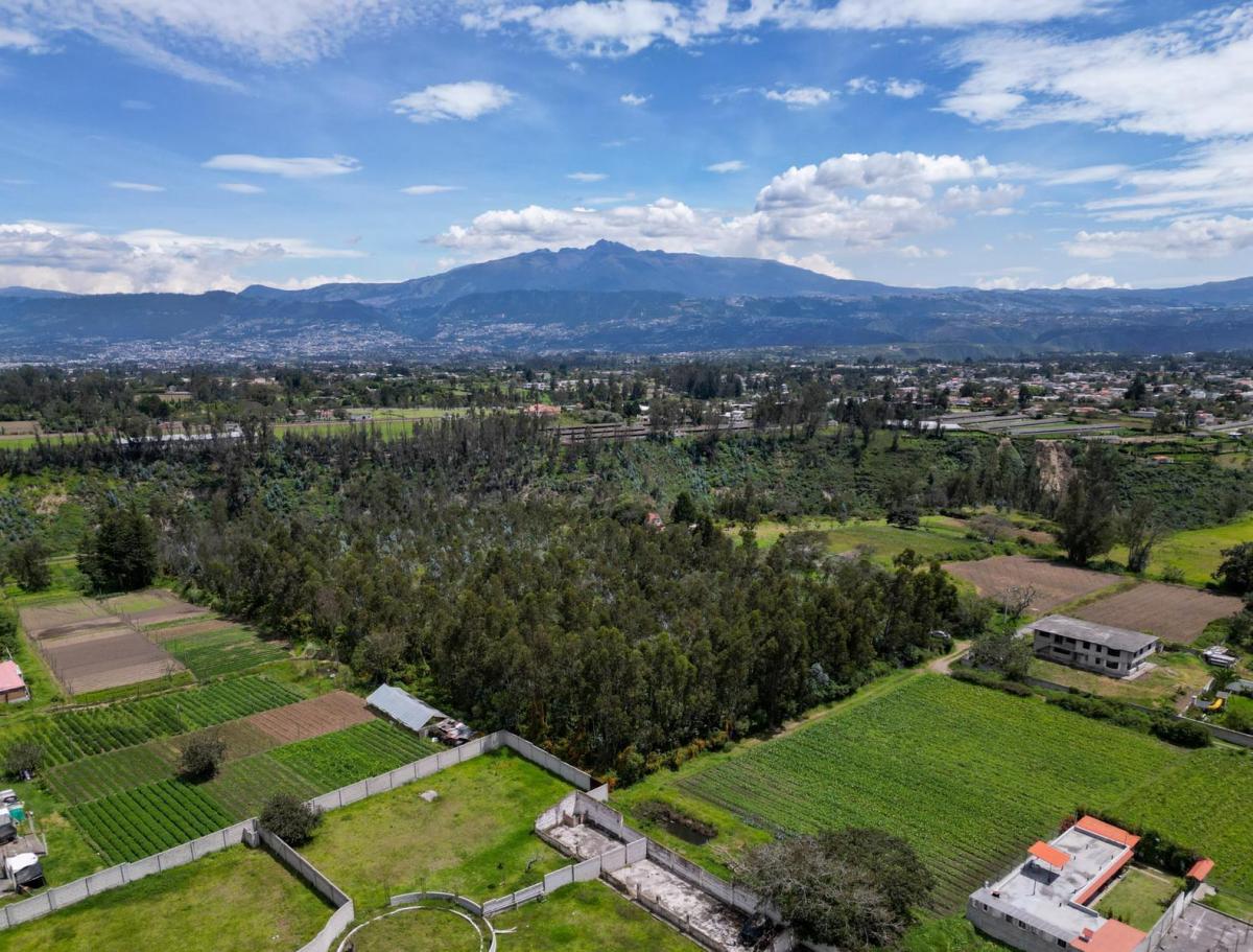 Oportunidad: Terreno de 20.000 Cerca del Parque de Tababela – Ideal Para Desarrollo o Vivienda — imagen 3