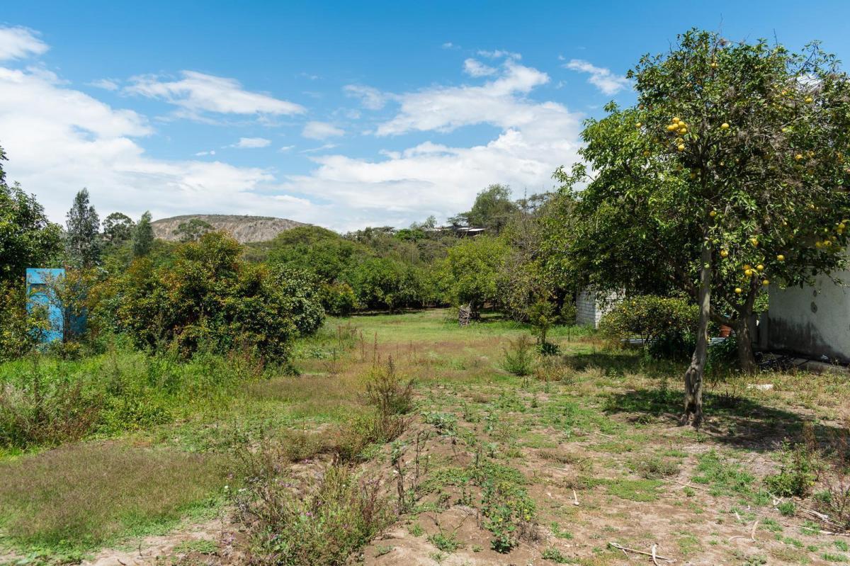 Terreno en Venta en Guayllabamba — imagen 8