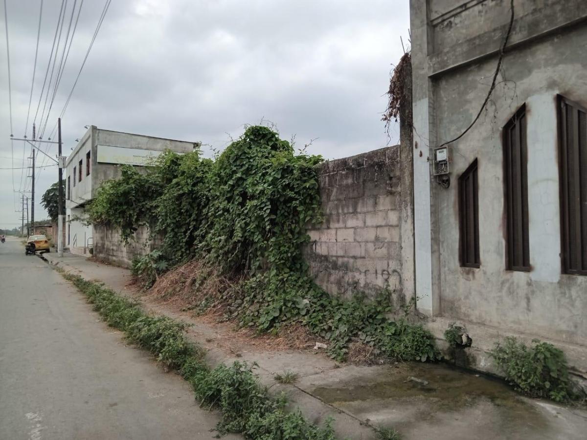 Terreno 480 m², en Venta, Calle Principal, Ubicación Estratégica, Milagro, Guayas — imagen 4