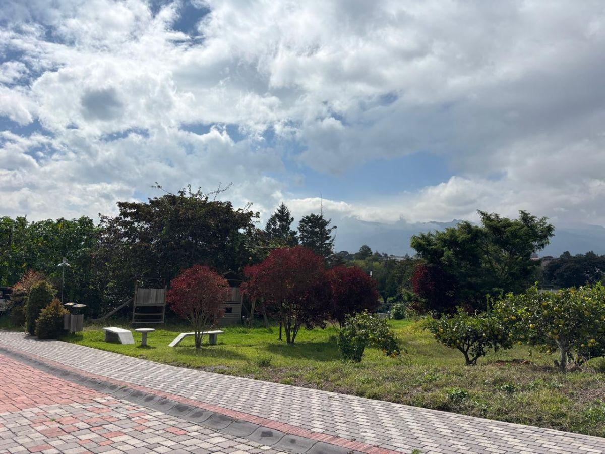 Vendo Terreno Bifamiliar $230.000 en Puembo Dentro de Lotización Privada de 1.128 m² — imagen 10