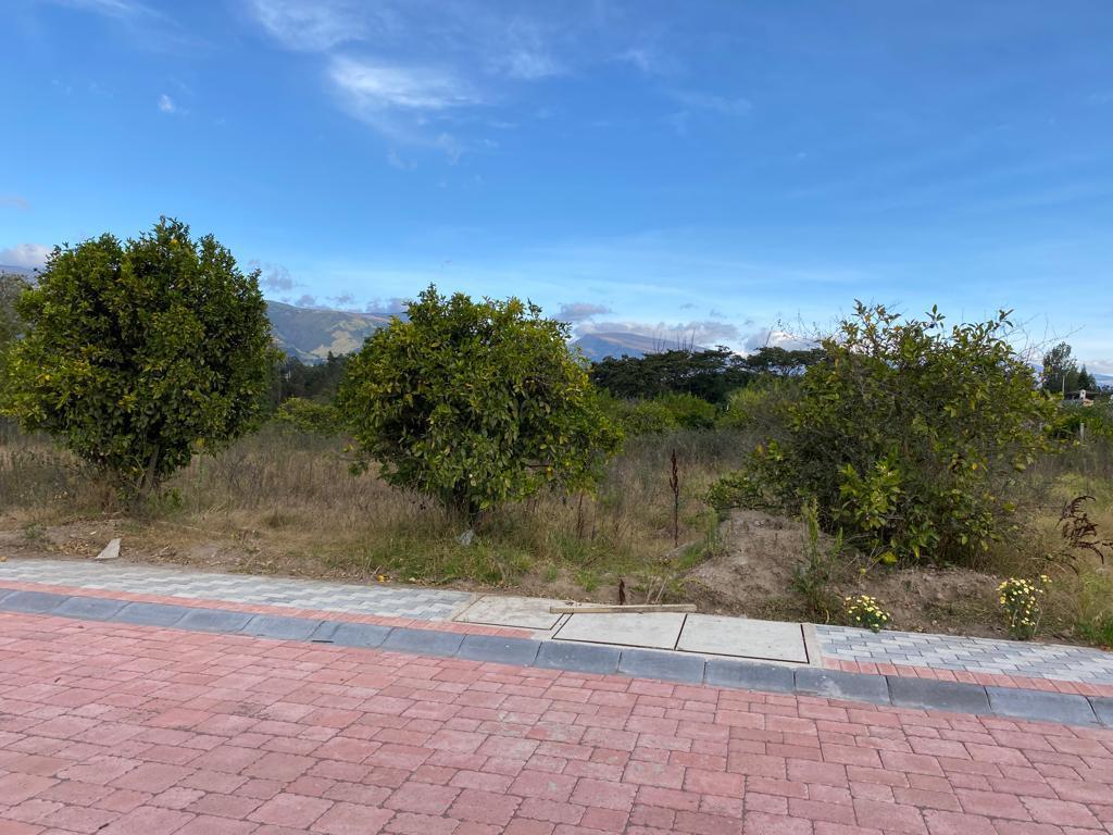 Vendo Terreno Bifamiliar $230.000 en Puembo Dentro de Lotización Privada de 1.128 m² — imagen 8