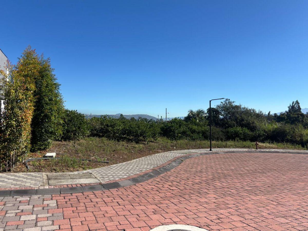 Vendo Terreno Bifamiliar $230.000 en Puembo Dentro de Lotización Privada de 1.128 m² — imagen 6