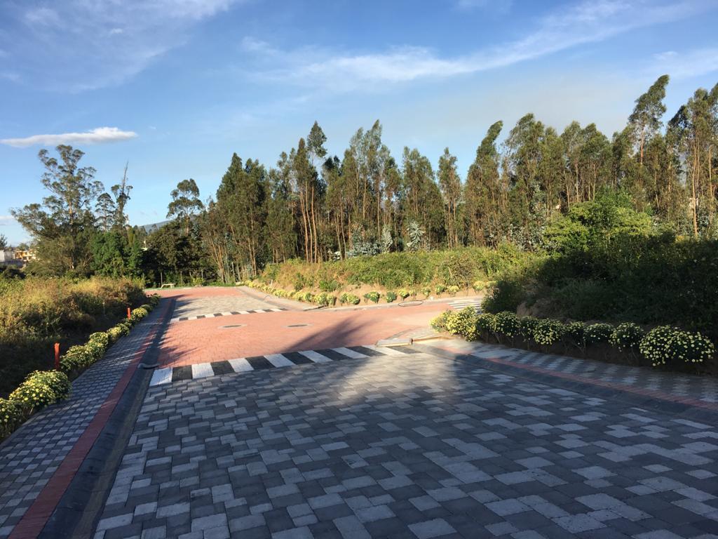 Vendo Terreno Bifamiliar $230.000 en Puembo Dentro de Lotización Privada de 1.128 m² — imagen 3