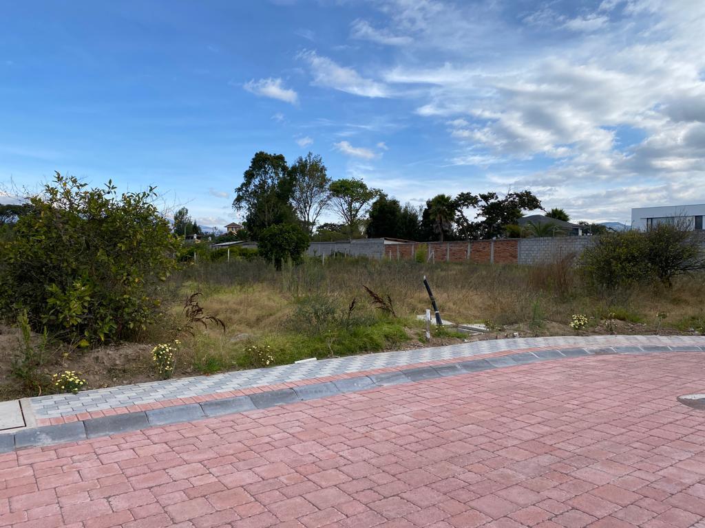 Vendo Terreno Bifamiliar $230.000 en Puembo Dentro de Lotización Privada de 1.128 m² — imagen 2