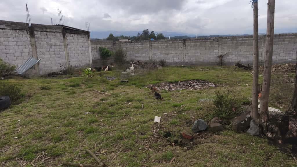 Terreno en Venta en Alangasí –valle de Los Chillos U$s 39000 — imagen 8