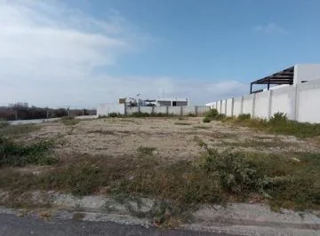 Terreno en La Palaya de Santa Elena Punta Blanca 250 m² — imagen 4