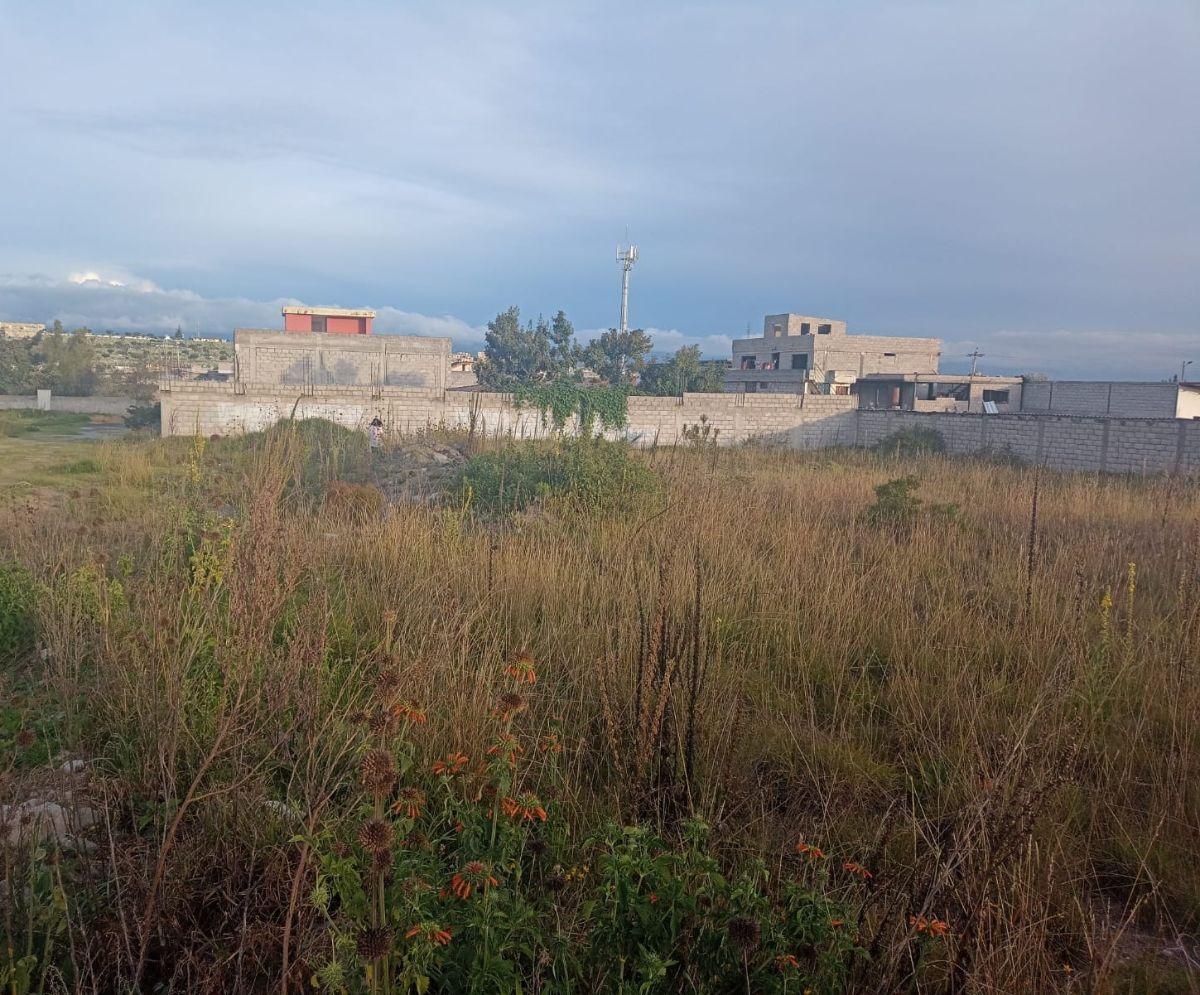 Vendo Terreno Plano 1.426 m² - $165.000 en Zona Consolidada del Sector Calderón - Marianitas — imagen 2