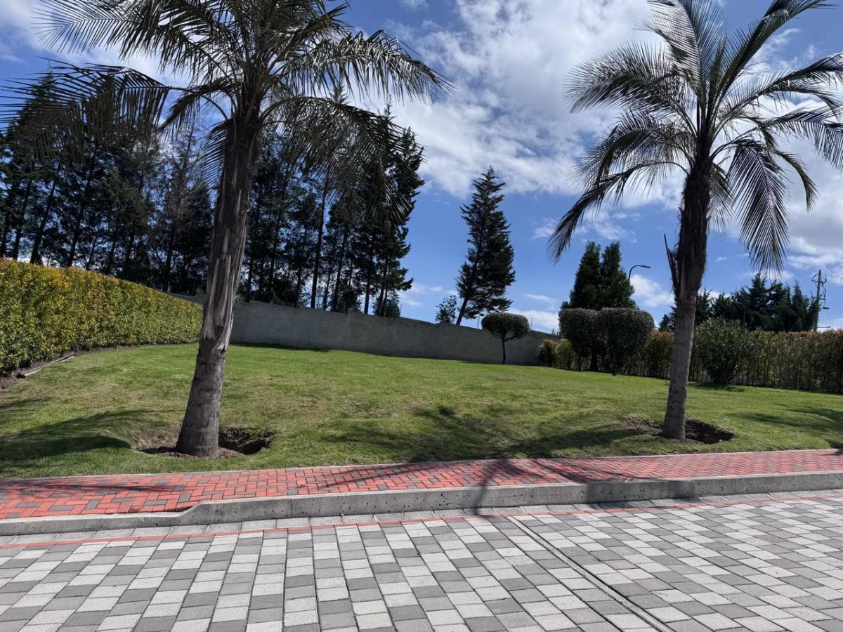 Terreno de Venta Puembo — imagen 8