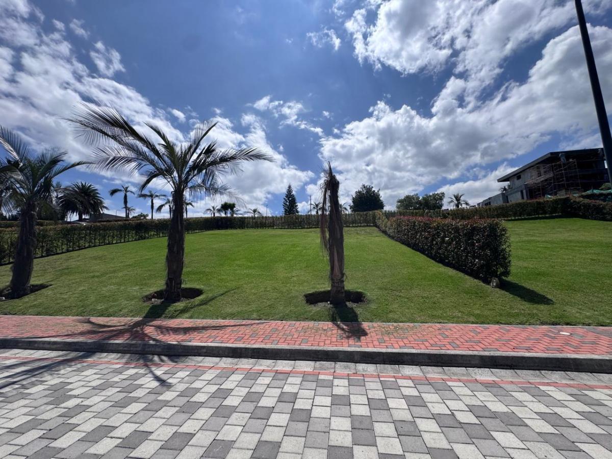 Terreno de Venta Puembo — imagen 4