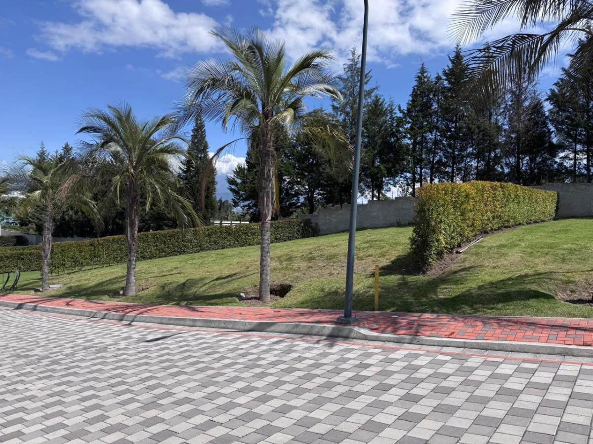 Terreno de Venta Puembo — imagen 2