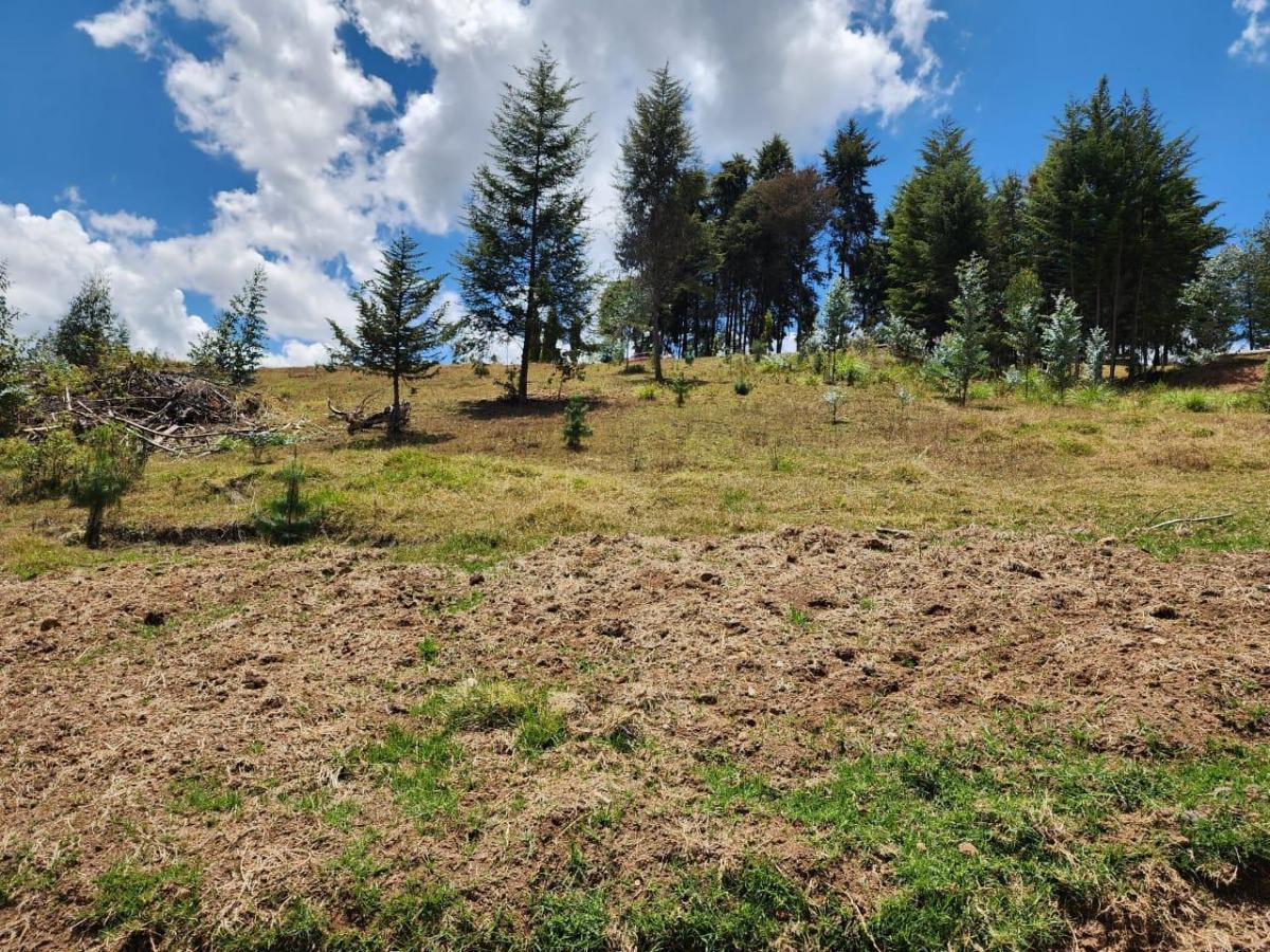 Terrenos de 1200 m² en Venta en El Sector de Tutupali Tarqui - Cuenca, Azuay — imagen 9