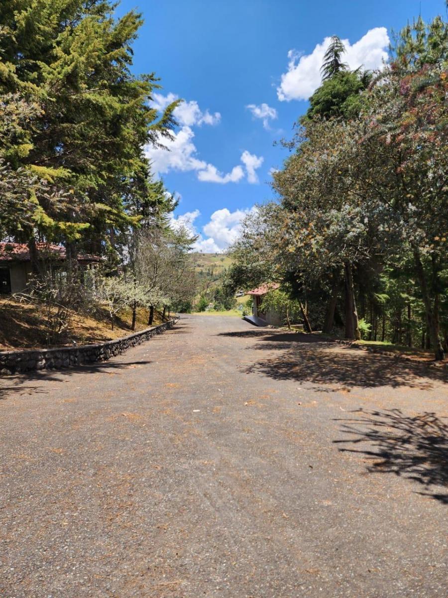 Terrenos de 1200 m² en Venta en El Sector de Tutupali Tarqui - Cuenca, Azuay — imagen 6