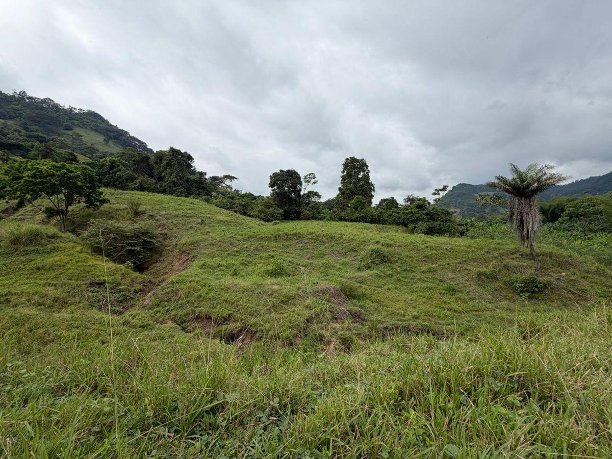 Terreno de Venta en Santa Ana Sector Visquije, Manabí — imagen 9