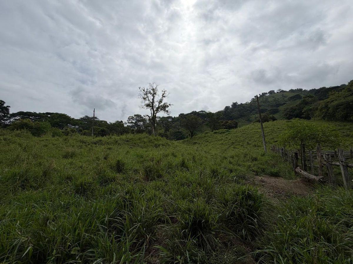 Terreno de Venta en Santa Ana Sector Visquije, Manabí — imagen 8