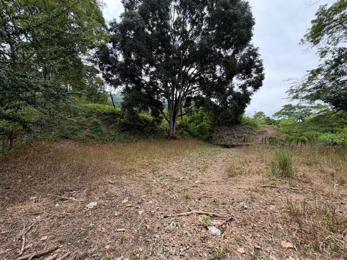 Terreno de Venta en Santa Ana Sector Visquije, Manabí — imagen 7