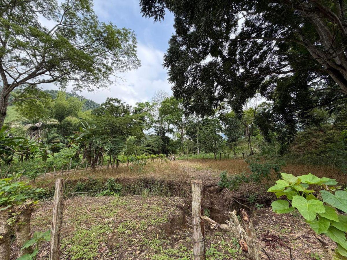 Terreno de Venta en Santa Ana Sector Visquije, Manabí — imagen 5