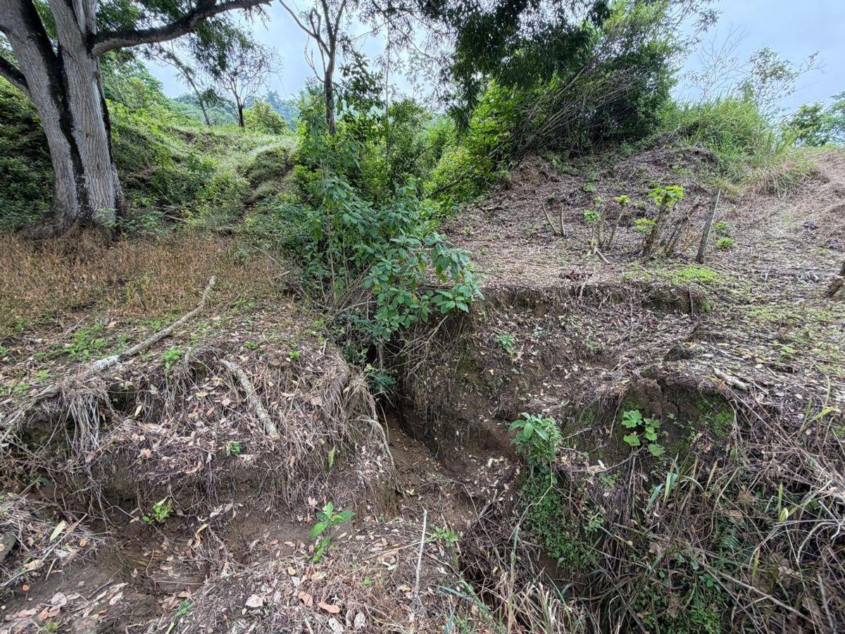 Terreno de Venta en Santa Ana Sector Visquije, Manabí — imagen 4