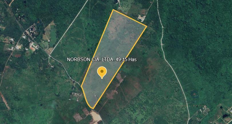 Venta de Terreno Agricola en Km 22 Vía a La Costa. 49.15 Has G. P, Guayas — imagen 7