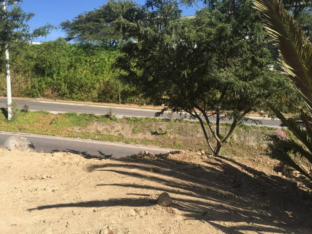 Cumbaya Terreno de Venta en Urb. Exclusiva Sector Colegio Menor — imagen 9
