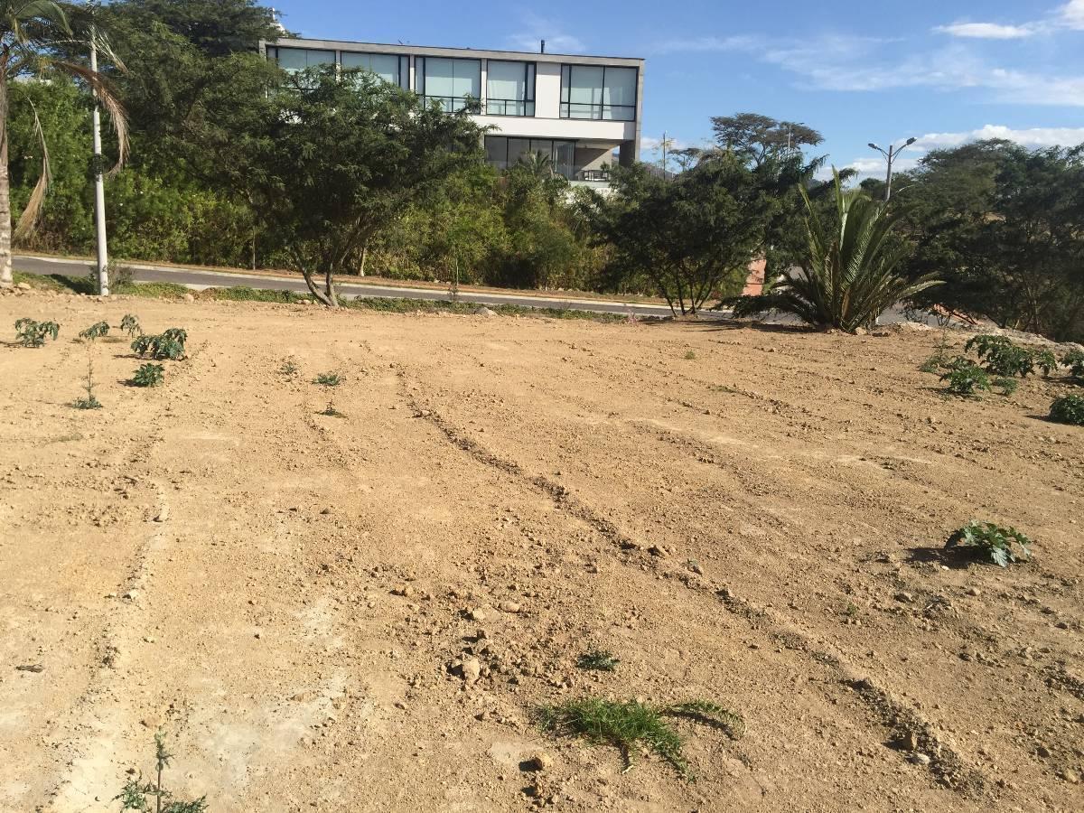 Cumbaya Terreno de Venta en Urb. Exclusiva Sector Colegio Menor — imagen 8