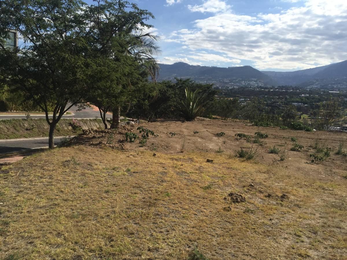 Cumbaya Terreno de Venta en Urb. Exclusiva Sector Colegio Menor — imagen 7