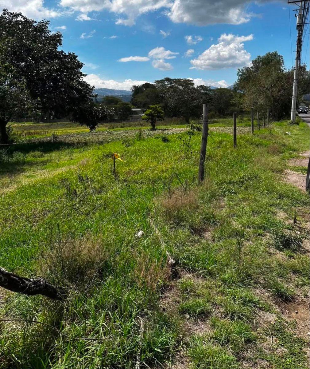 Terreno de 4780 m² en Venta en Puembo — imagen 6