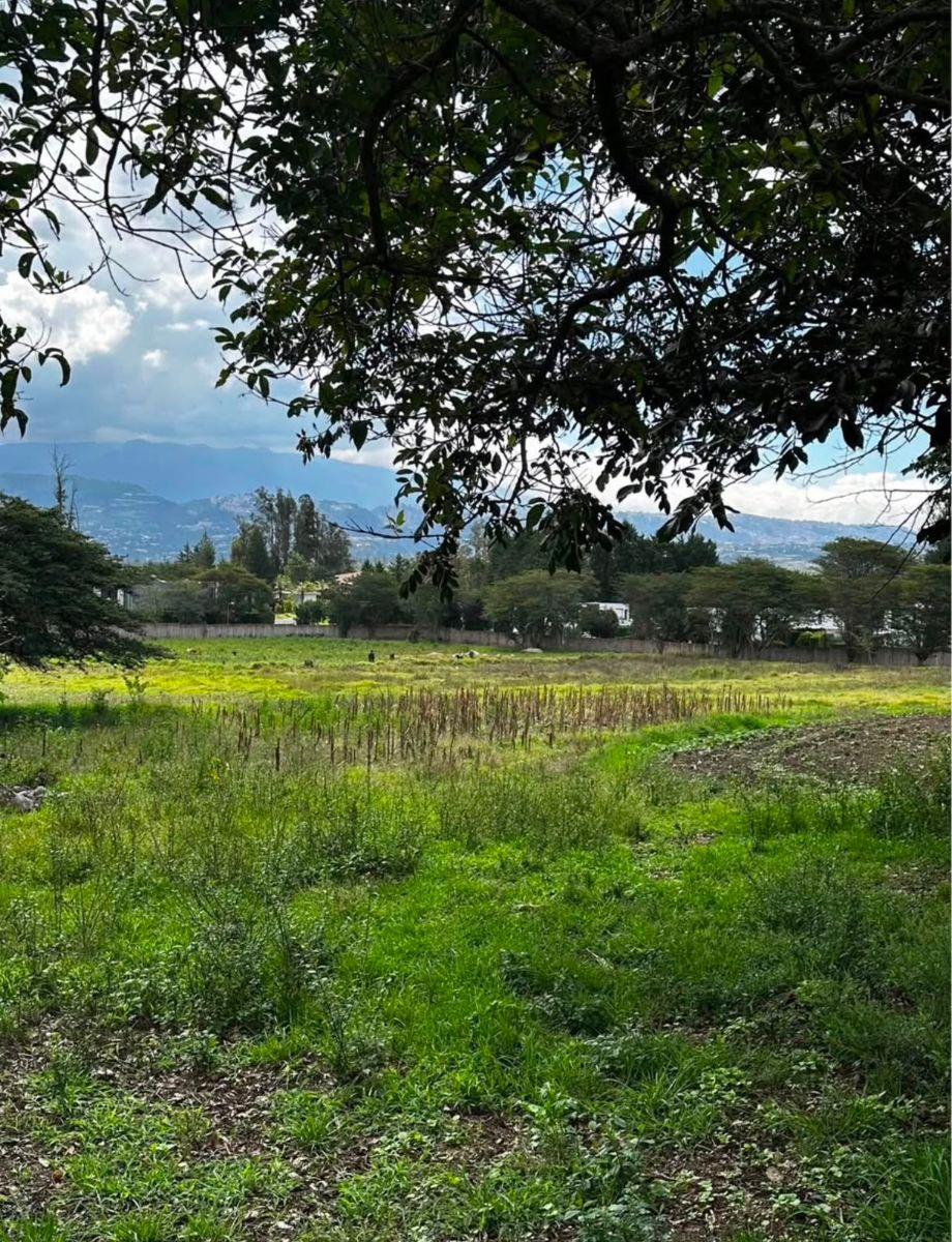 Terreno de 4780 m² en Venta en Puembo — imagen 3