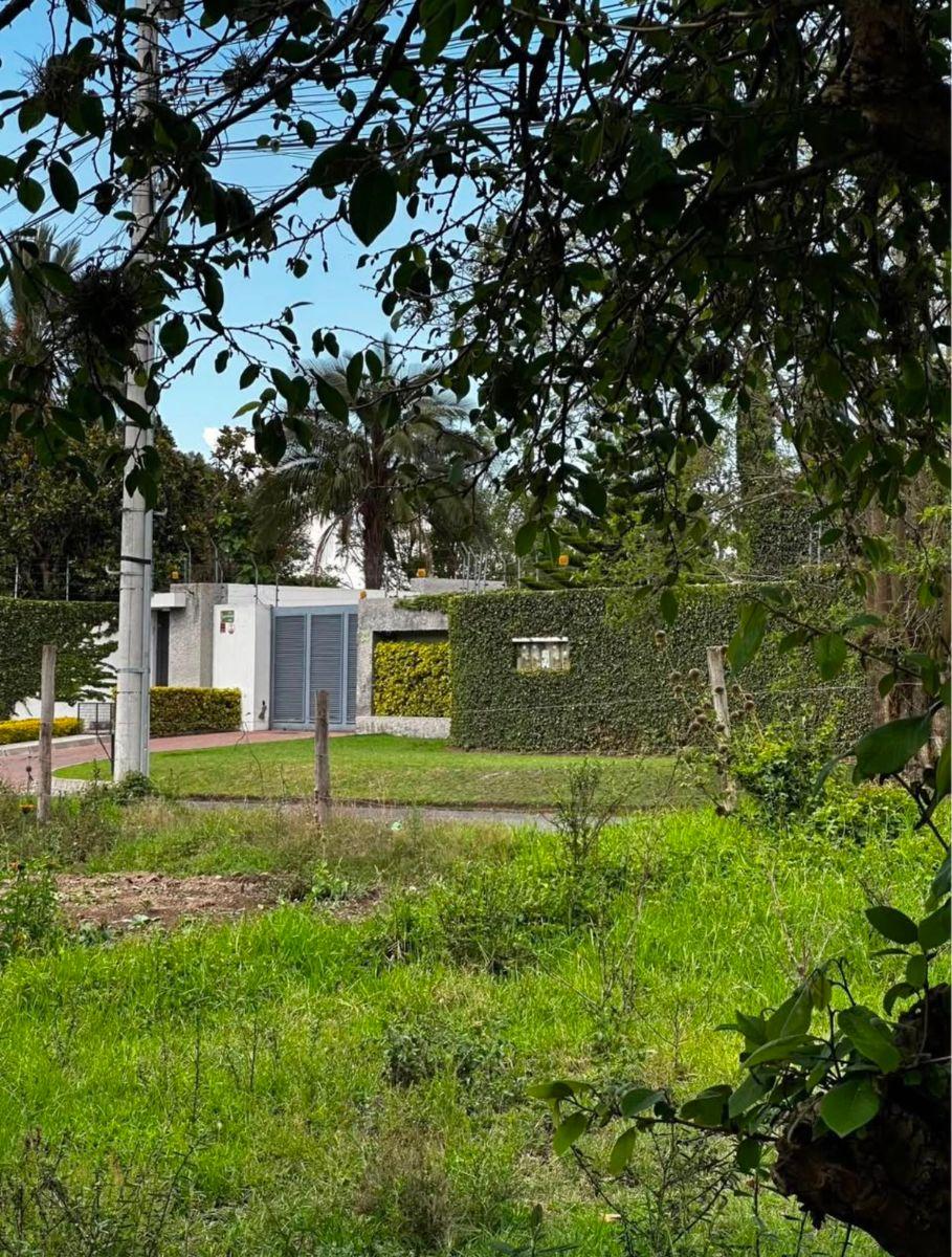Terreno de 4780 m² en Venta en Puembo — imagen 2