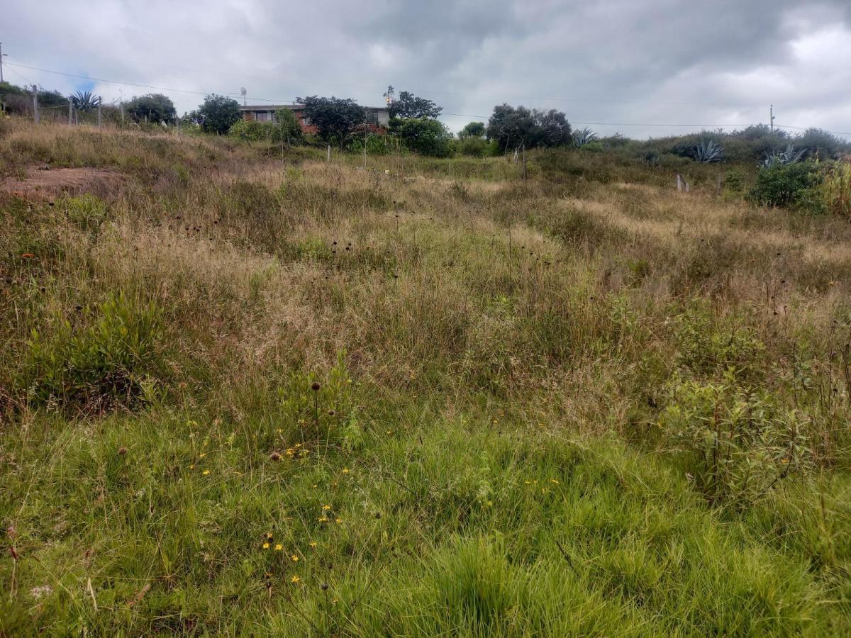 Venta de Terreno, Tumbaco, Tola Grande, Luzón — imagen 6