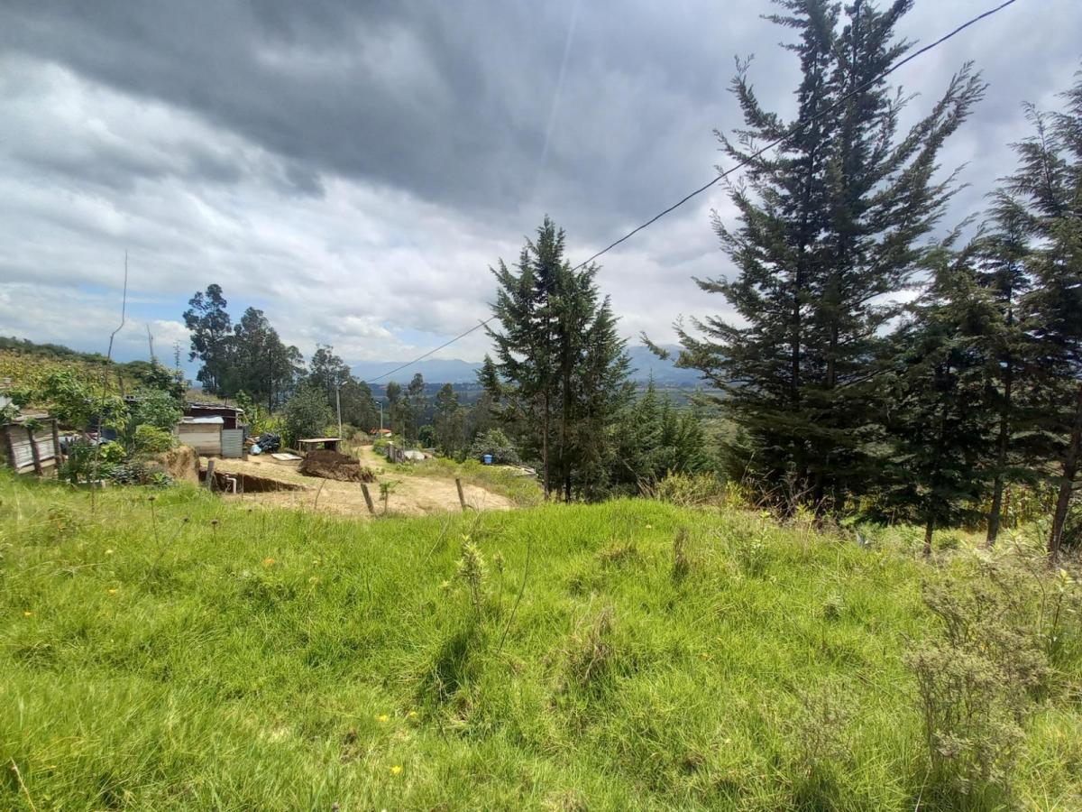 Venta de Terreno, Tumbaco, Tola Grande, Luzón — imagen 5