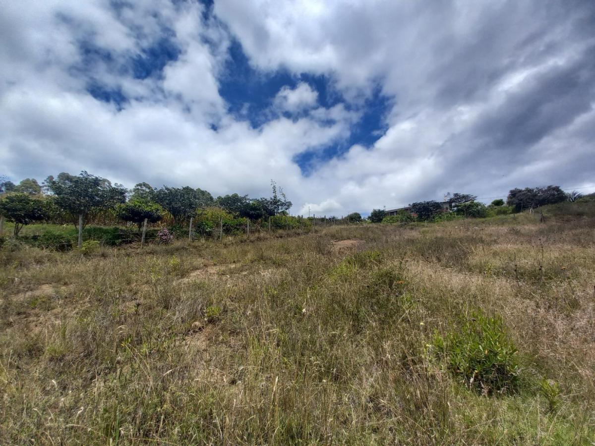 Venta de Terreno, Tumbaco, Tola Grande, Luzón — imagen 4