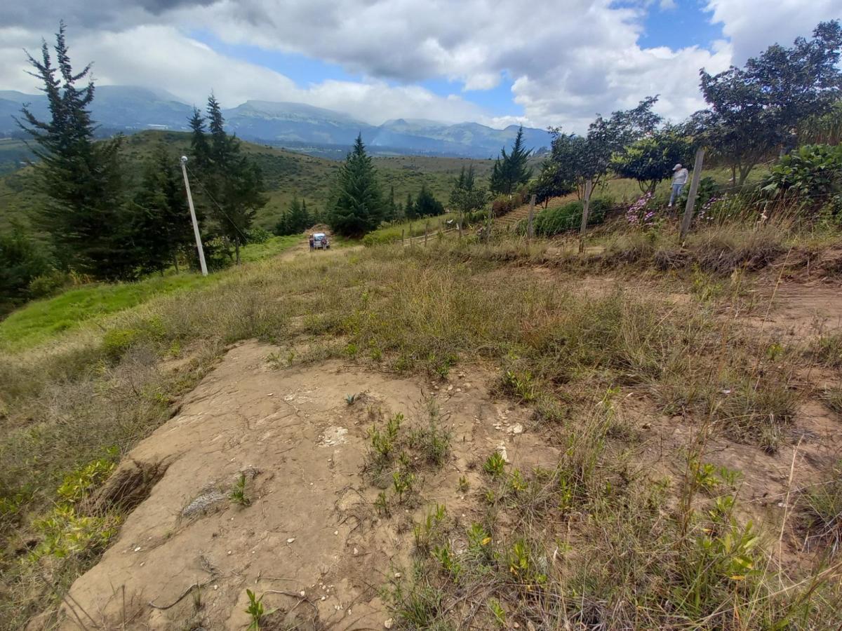 Venta de Terreno, Tumbaco, Tola Grande, Luzón — imagen 3