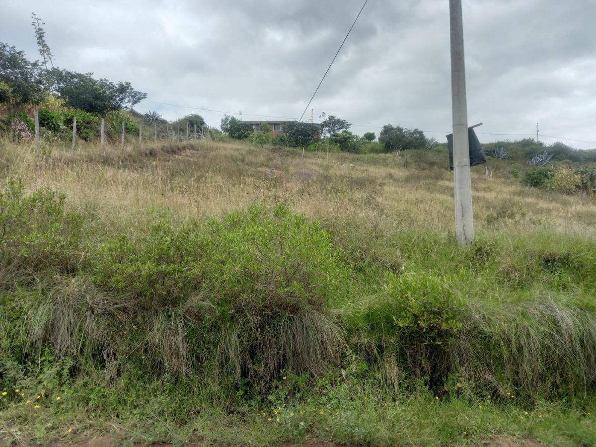 Venta de Terreno, Tumbaco, Tola Grande, Luzón — imagen 2