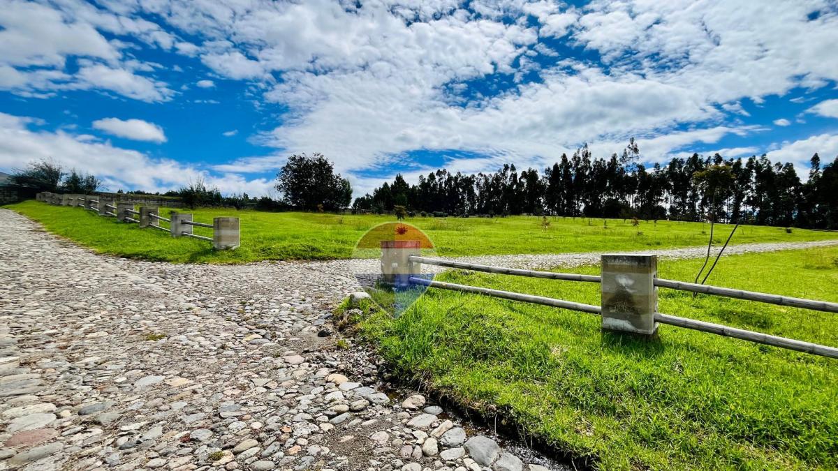 Terreno en Venta en Tabacundo, 1732 m² - Prados de Mojanda 1 — imagen 8