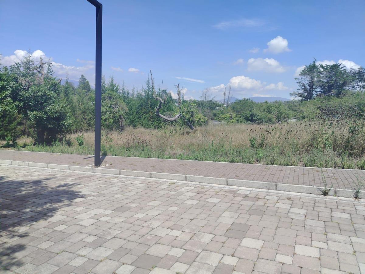 Terreno en Puembo — imagen 5