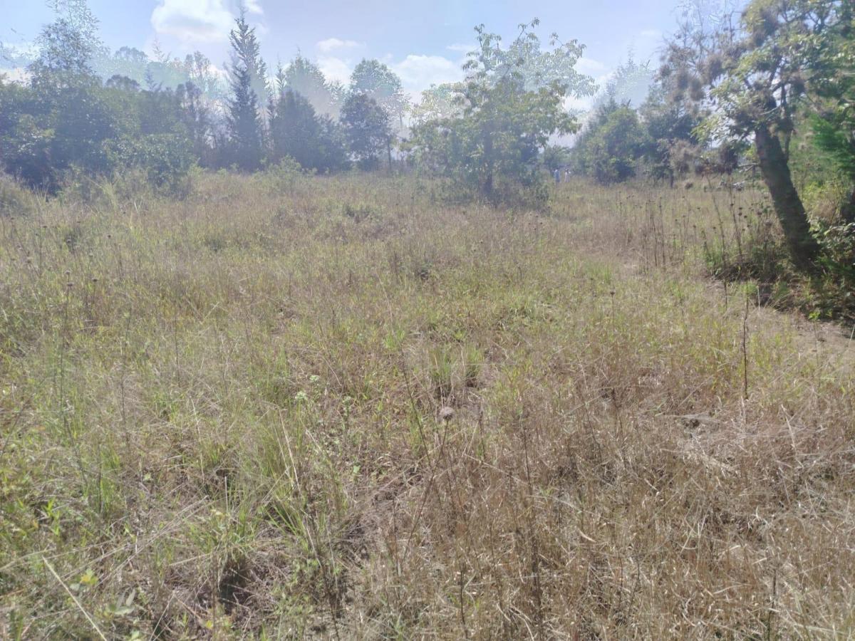 Terreno en Puembo — imagen 4