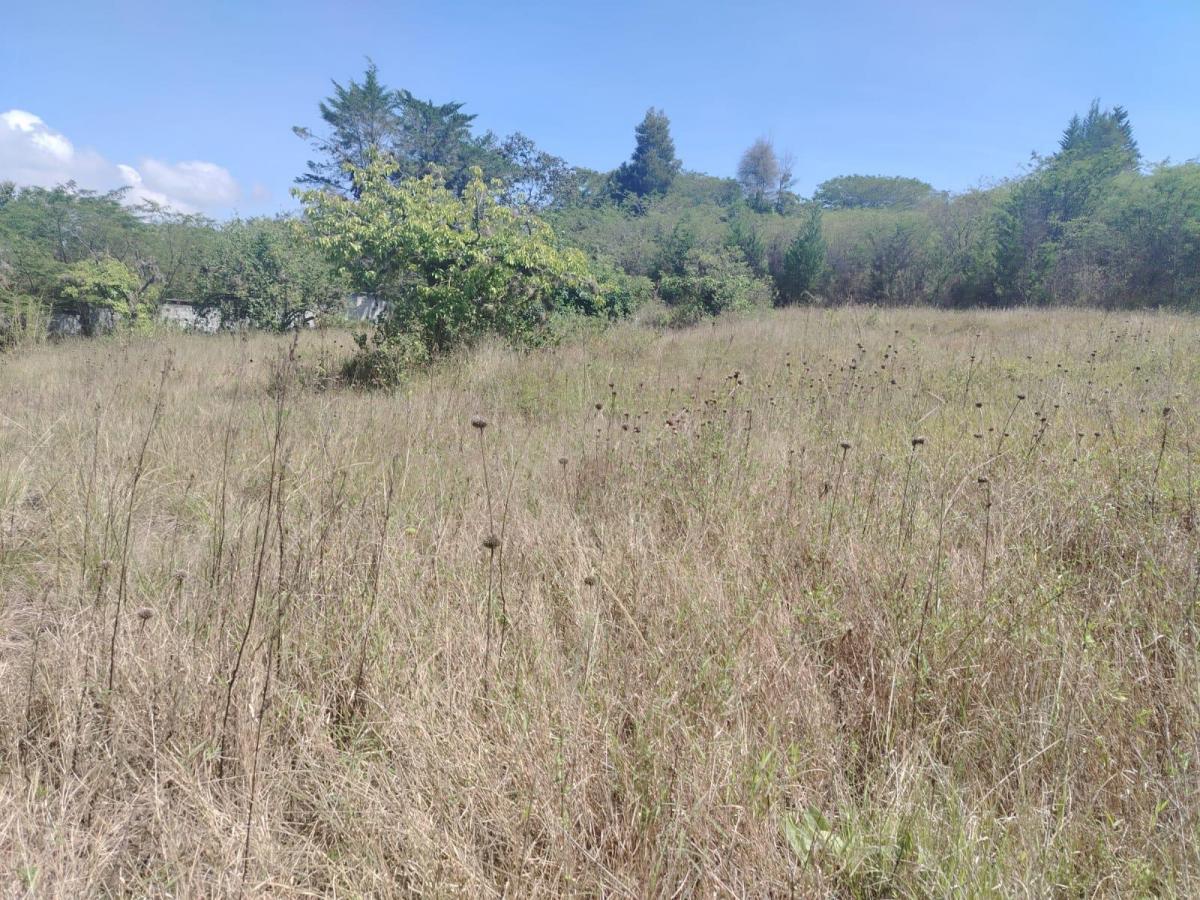 Terreno en Puembo — imagen 3