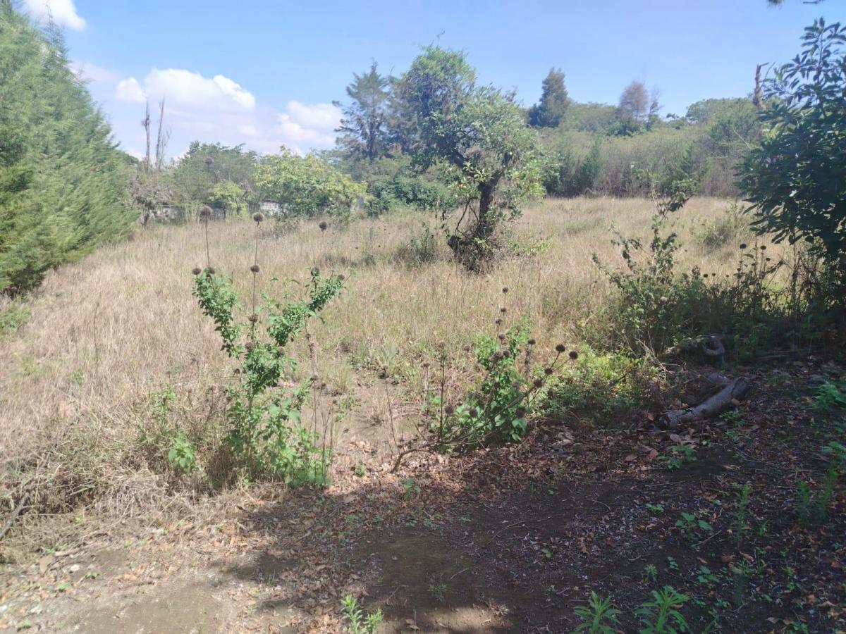 Terreno en Puembo — imagen 2